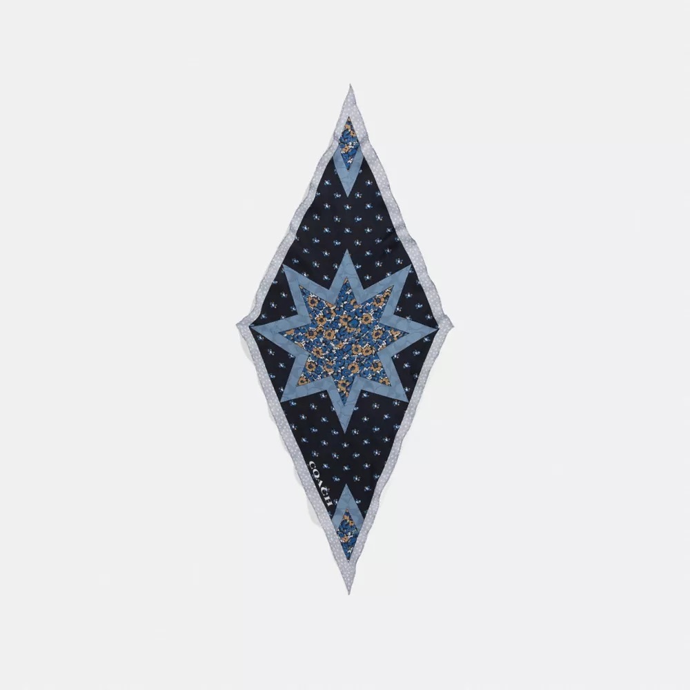 COACH Silk Scarf